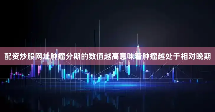 配资炒股网址肿瘤分期的数值越高意味着肿瘤越处于相对晚期